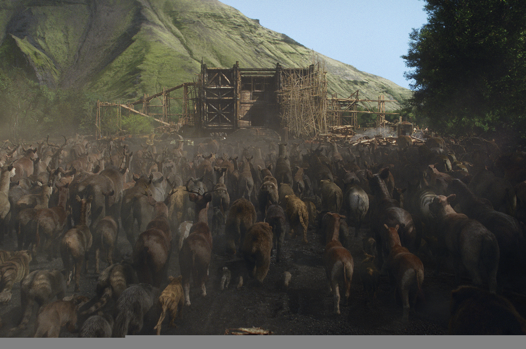 Animals enter the Ark in NOAH, from Paramount Pictures and Regency Enterprises..N-FX-054